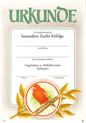 lager